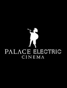 Palace Electric