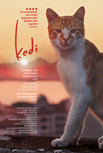 Poster for Kedi