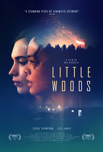 Poster for Little Woods