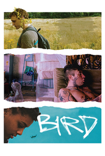 Poster for Bird